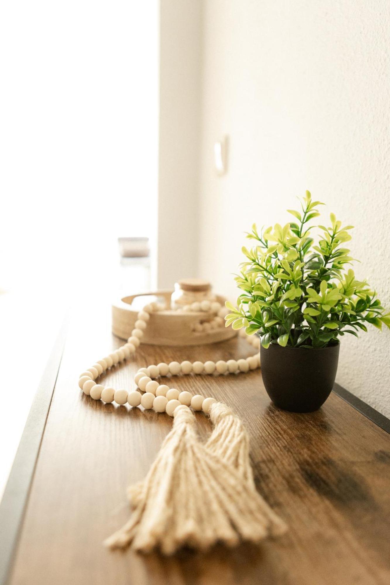 Neu, Superior Apartment 229, Im Oberharz, Mit Sauna & Schwimmbad, Entspannung Pur Braunlage Dış mekan fotoğraf